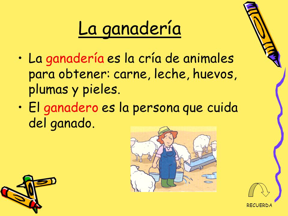 La ganadería La ganadería es la cría de animales para obtener: carne, leche, huevos, plumas y pieles.
