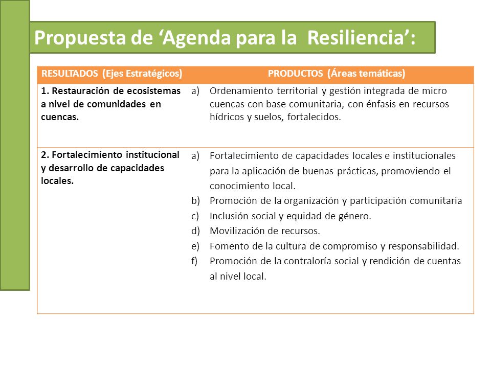 RESULTADOS (Ejes Estratégicos) PRODUCTOS (Áreas temáticas)
