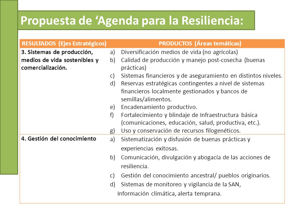 RESULTADOS (Ejes Estratégicos) PRODUCTOS (Áreas temáticas)