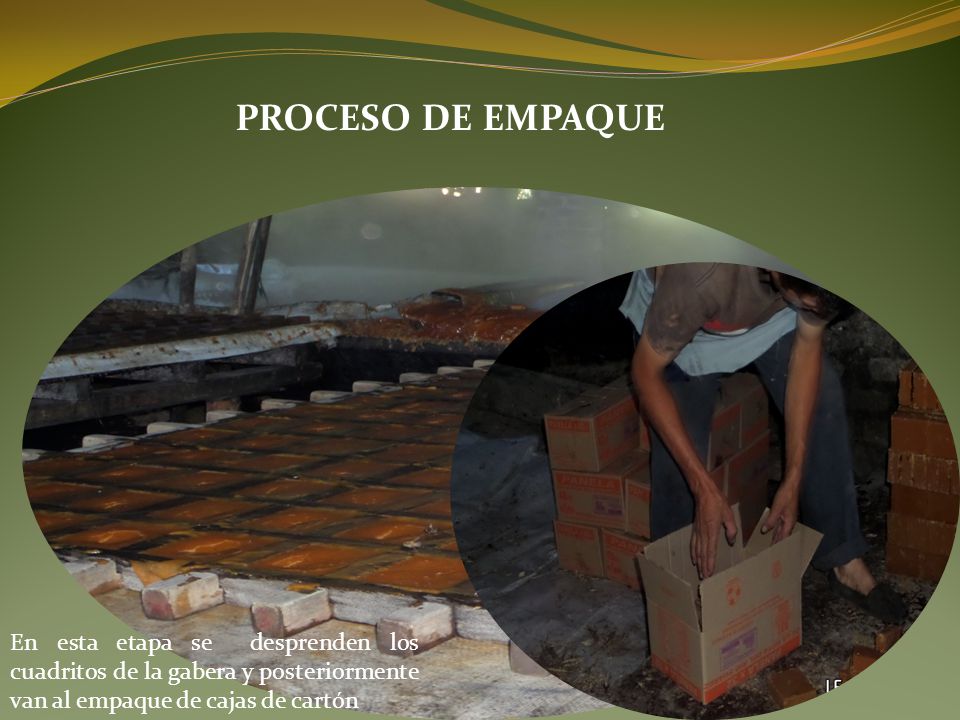 PROCESO DE EMPAQUE En esta etapa se desprenden los cuadritos de la gabera y posteriormente van al empaque de cajas de cartón.