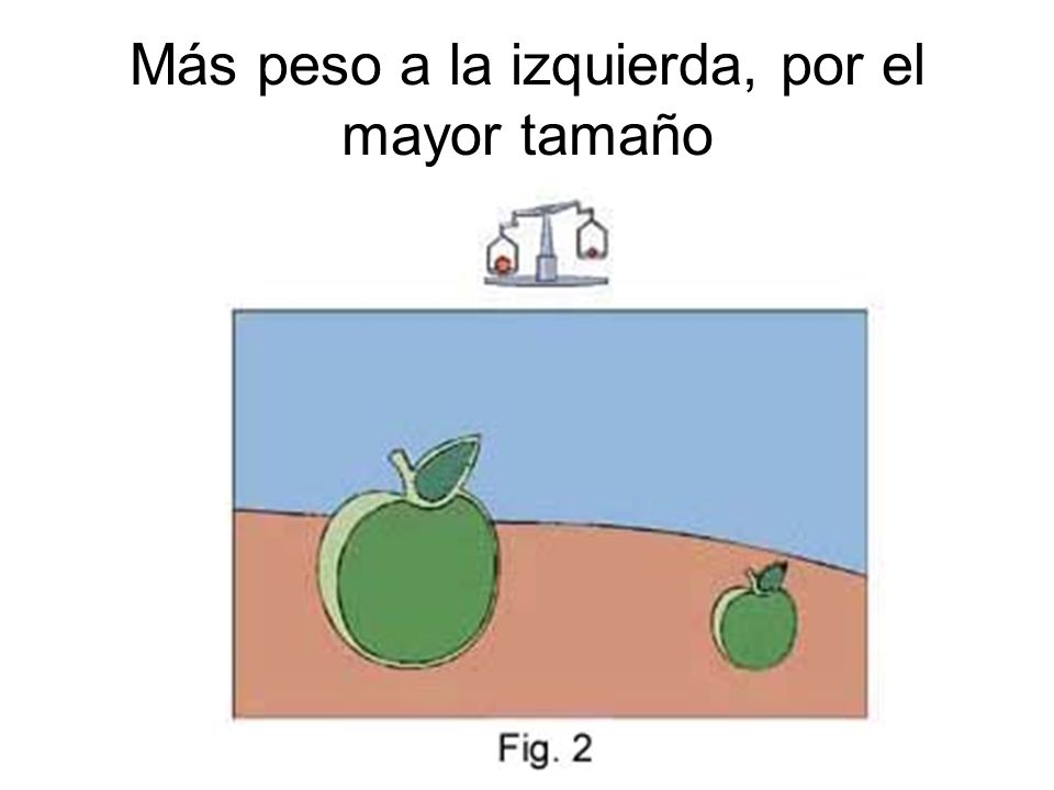 Más peso a la izquierda, por el mayor tamaño