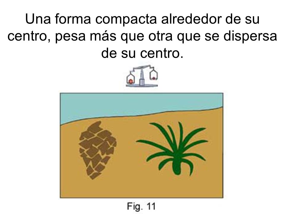 Una forma compacta alrededor de su centro, pesa más que otra que se dispersa de su centro.