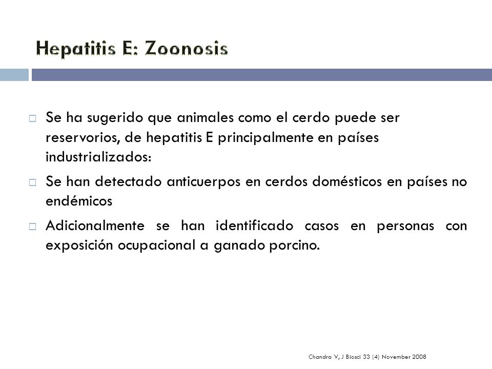 Hepatitis E: Zoonosis Se ha sugerido que animales como el cerdo puede ser reservorios, de hepatitis E principalmente en países industrializados: