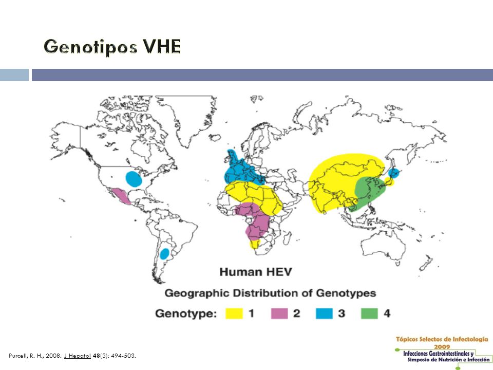 Genotipos VHE Purcell, R. H., J Hepatol 48(3):