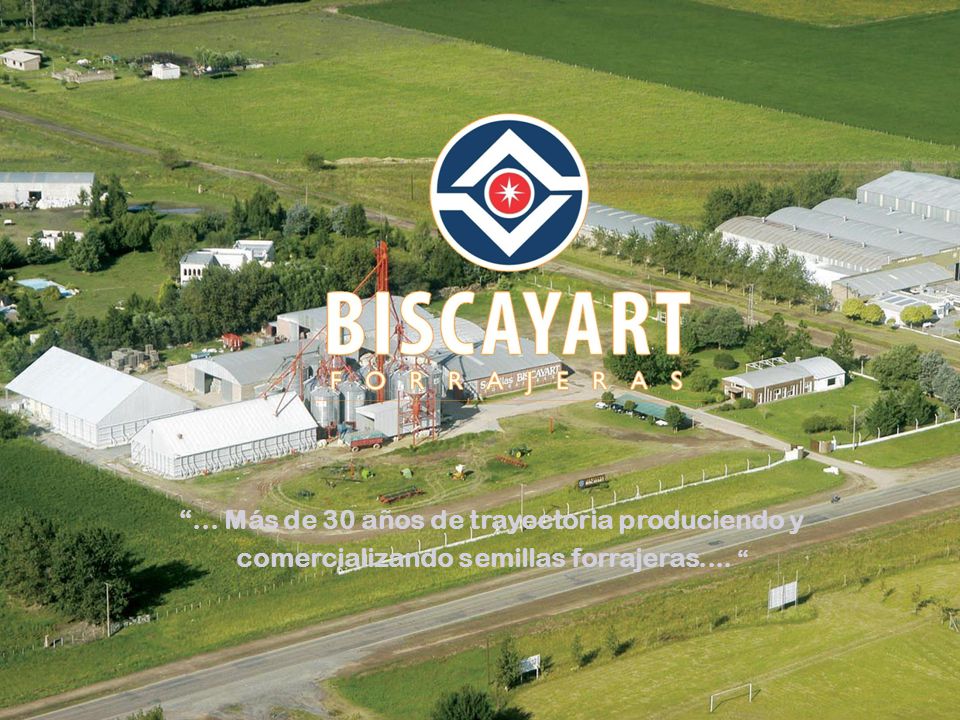 Armar la presentación a partir de: En lo que estamos trabajando