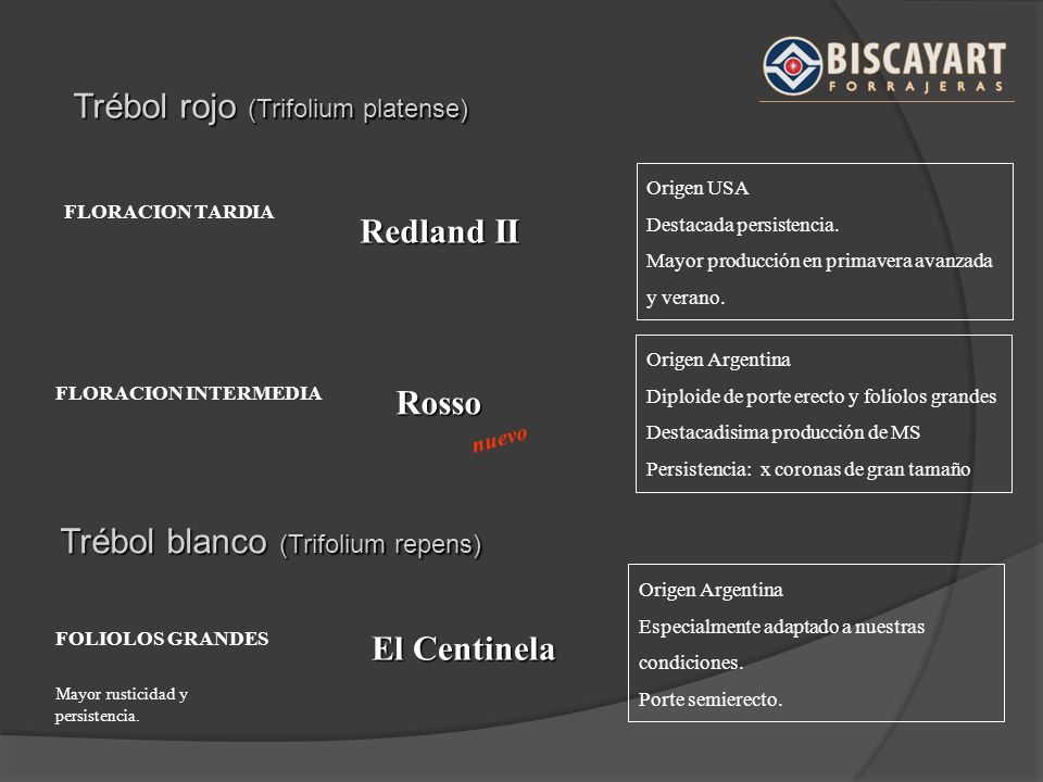 Redland II Rosso El Centinela