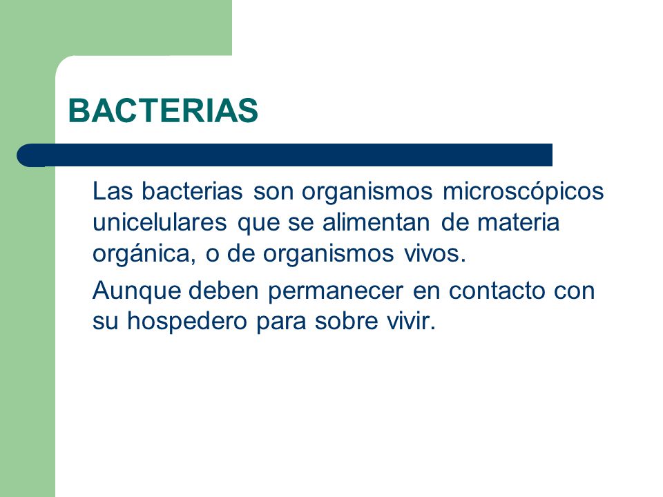 BACTERIAS Las bacterias son organismos microscópicos unicelulares que se alimentan de materia orgánica, o de organismos vivos.