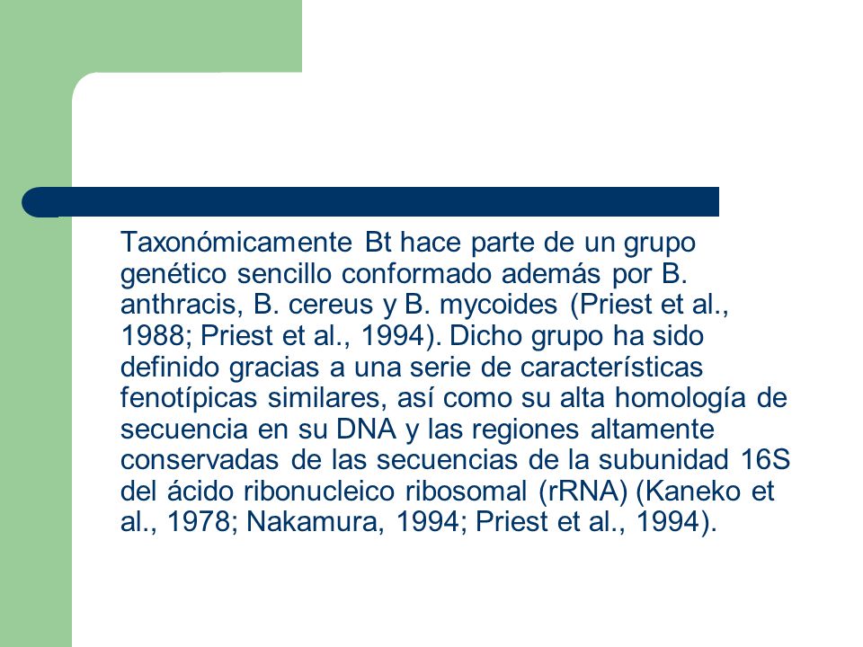 Taxonómicamente Bt hace parte de un grupo genético sencillo conformado además por B.