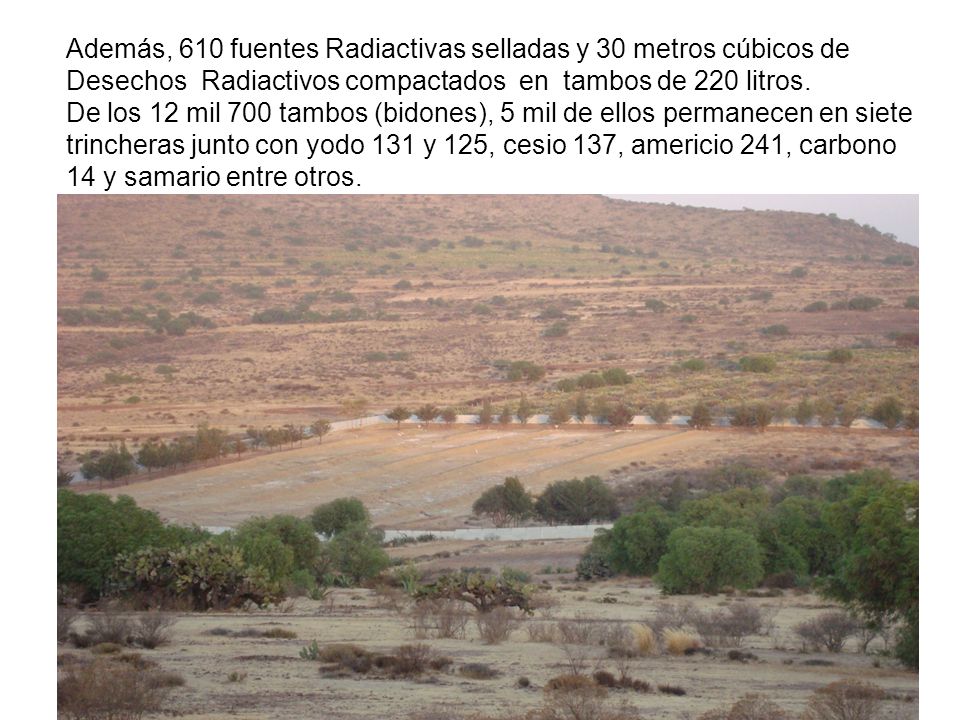 Además, 610 fuentes Radiactivas selladas y 30 metros cúbicos de Desechos Radiactivos compactados en tambos de 220 litros.