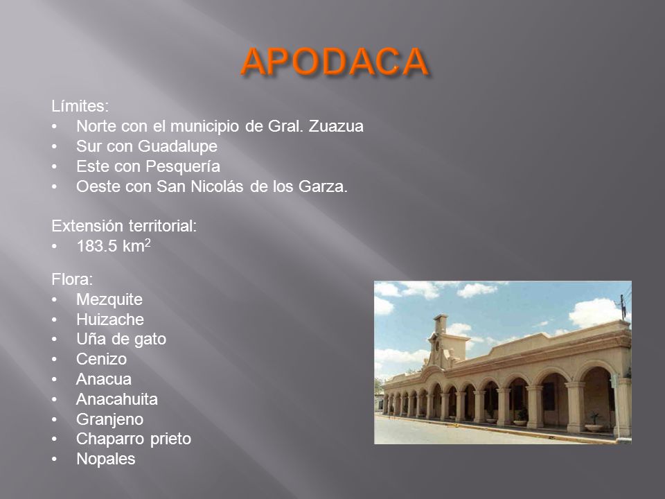 APODACA Límites: Norte con el municipio de Gral. Zuazua