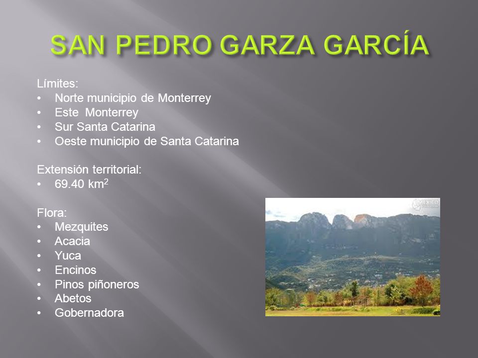 SAN PEDRO GARZA GARCÍA Límites: Norte municipio de Monterrey