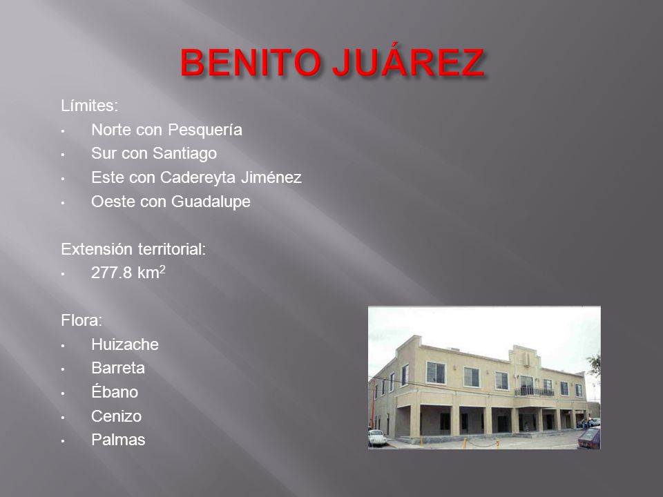 BENITO JUÁREZ Límites: Norte con Pesquería Sur con Santiago