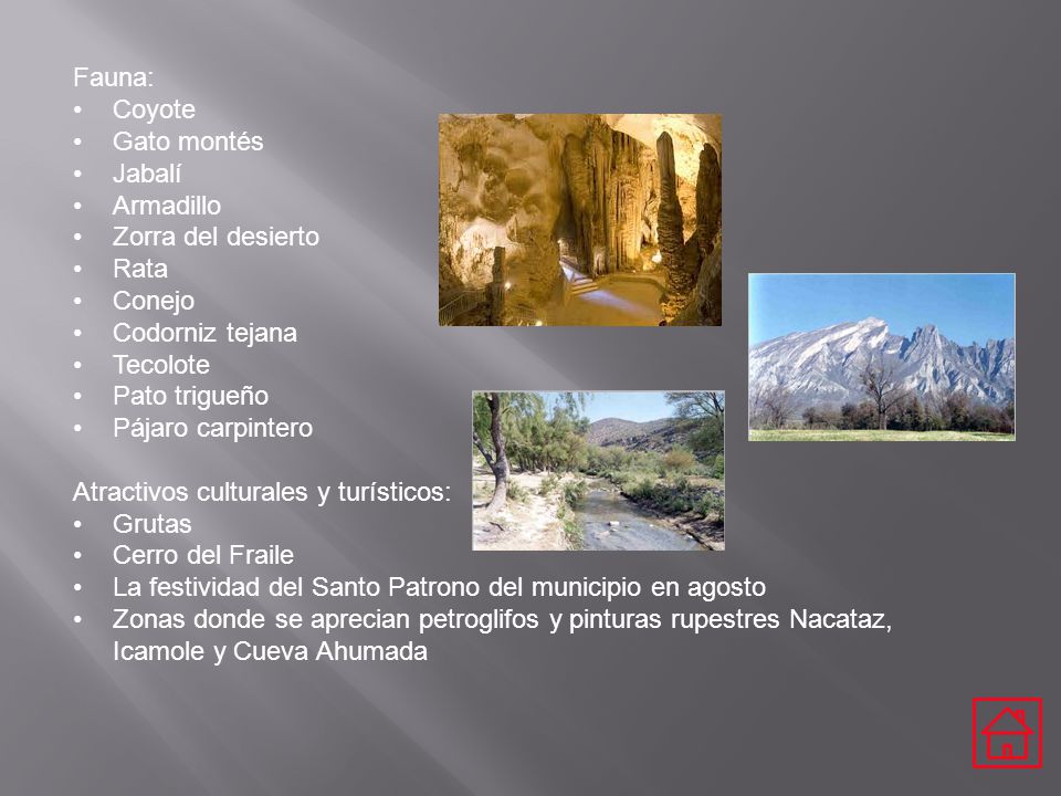 Fauna: Coyote. Gato montés. Jabalí. Armadillo. Zorra del desierto. Rata. Conejo. Codorniz tejana.