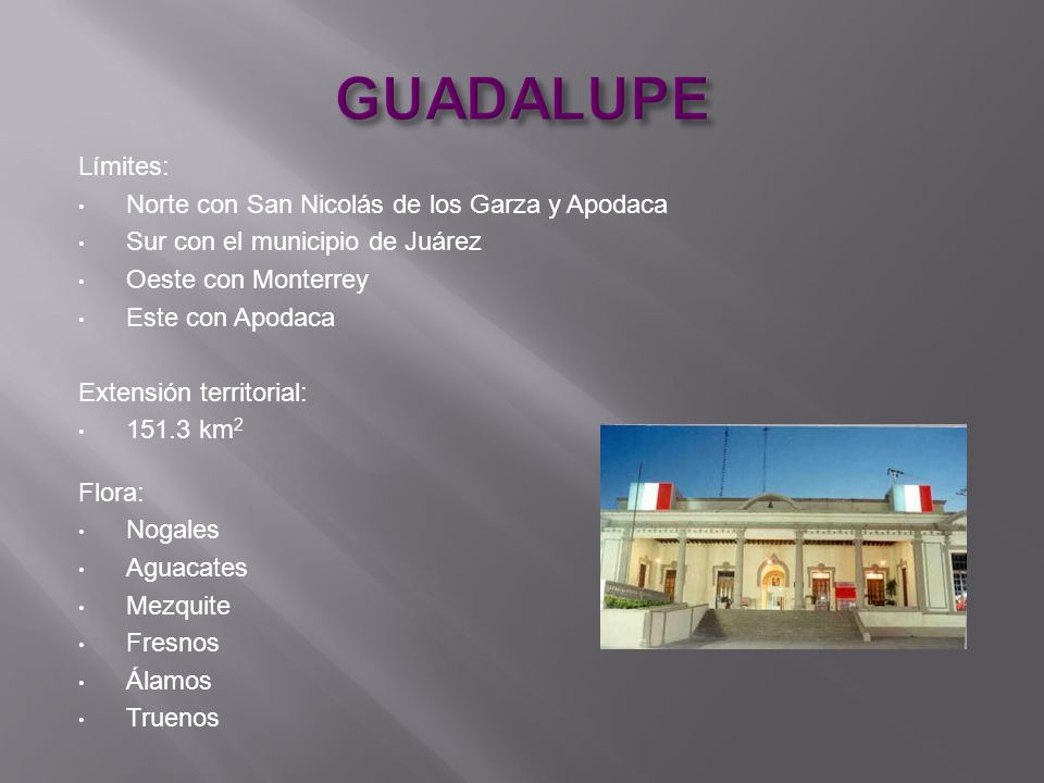 GUADALUPE Límites: Norte con San Nicolás de los Garza y Apodaca