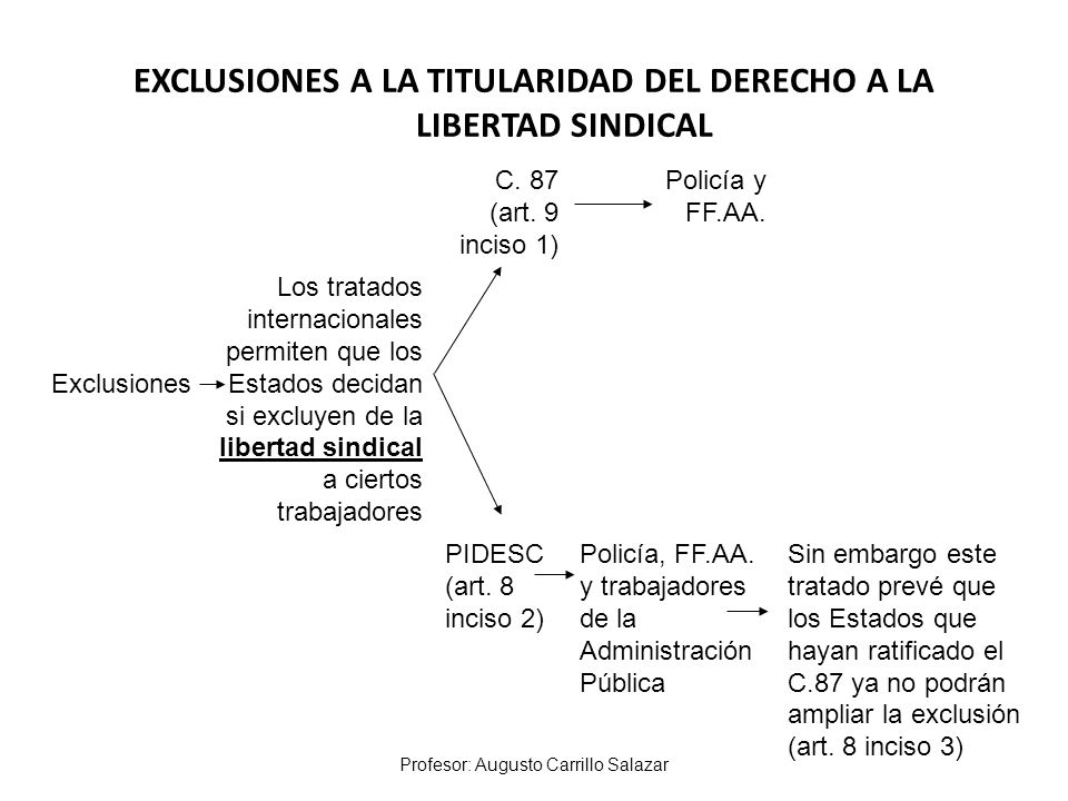 EXCLUSIONES A LA TITULARIDAD DEL DERECHO A LA LIBERTAD SINDICAL