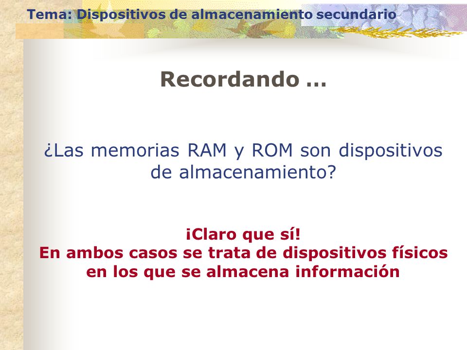 ¿Las memorias RAM y ROM son dispositivos de almacenamiento