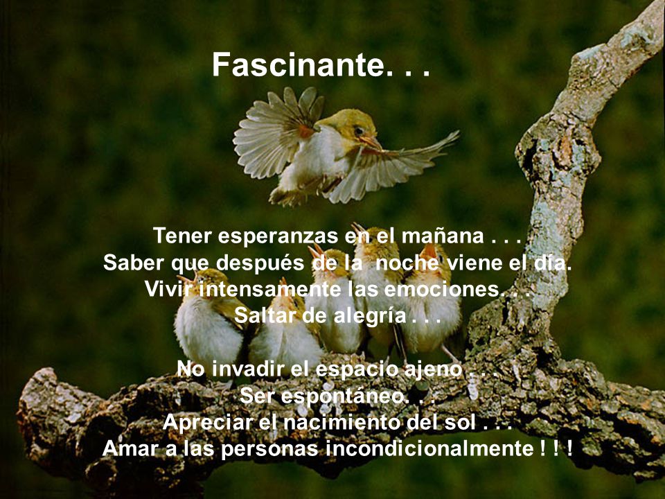 Fascinante. . . Tener esperanzas en el mañana . . .