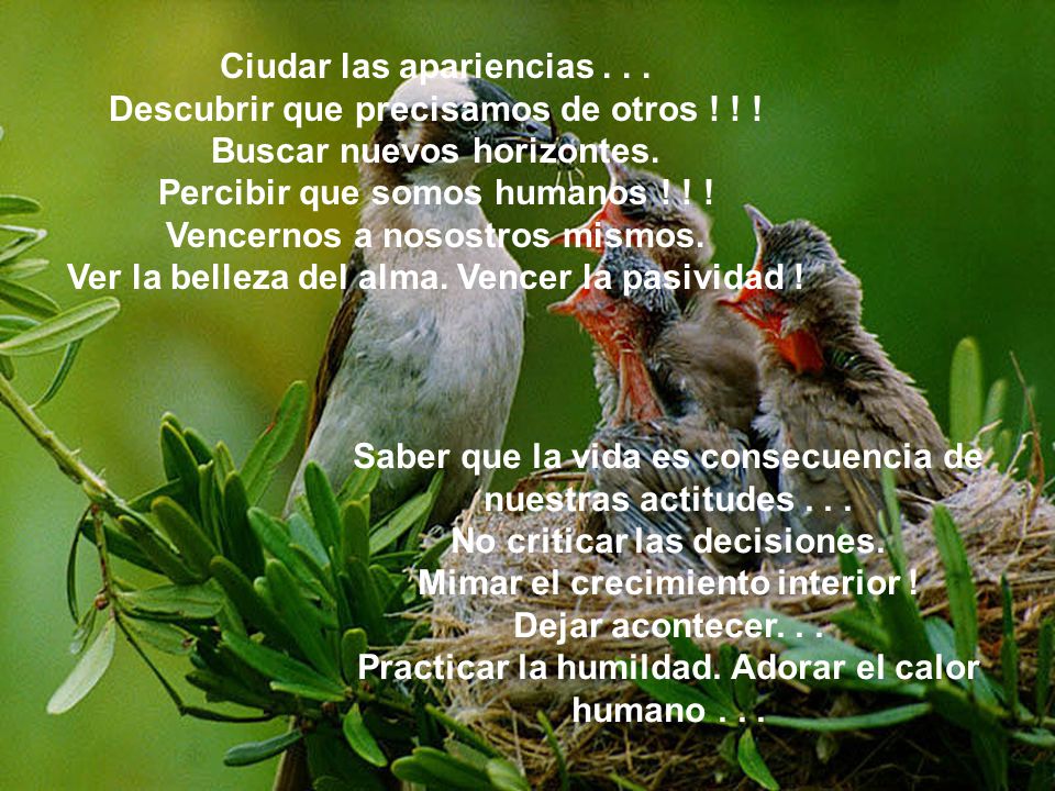 Ciudar las apariencias Descubrir que precisamos de otros ! ! !