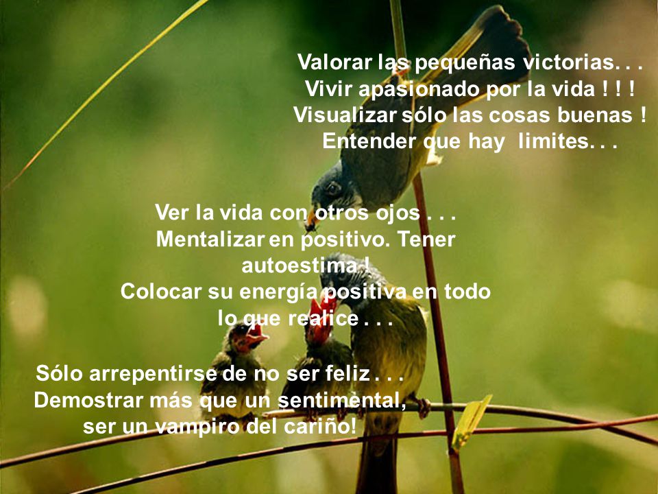 Valorar las pequeñas victorias. . . Vivir apasionado por la vida ! ! !
