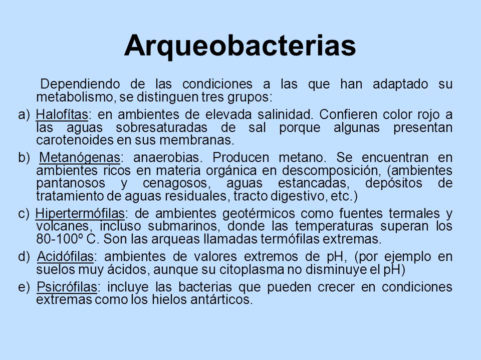 Arqueobacterias Dependiendo de las condiciones a las que han adaptado su metabolismo, se distinguen tres grupos: