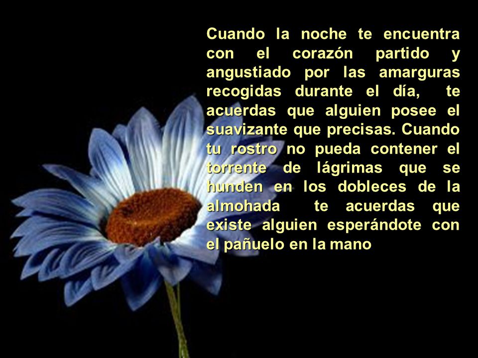 Cuando la noche te encuentra con el corazón partido y angustiado por las amarguras recogidas durante el día, te acuerdas que alguien posee el suavizante que precisas. Cuando tu rostro no pueda contener el torrente de lágrimas que se hunden en los dobleces de la almohada te acuerdas que existe alguien esperándote con el pañuelo en la mano