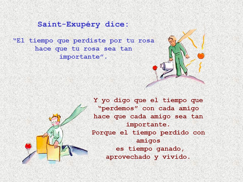 Saint-Exupéry dice: El tiempo que perdiste por tu rosa hace que tu rosa sea tan importante .