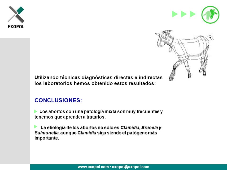 Utilizando técnicas diagnósticas directas e indirectas los laboratorios hemos obtenido estos resultados: CONCLUSIONES: Los abortos con una patología mixta son muy frecuentes y tenemos que aprender a tratarlos.