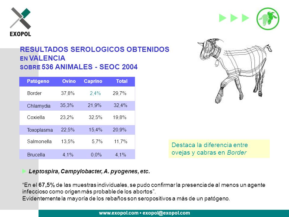 RESULTADOS SEROLOGICOS OBTENIDOS EN VALENCIA SOBRE 536 ANIMALES - SEOC 2004