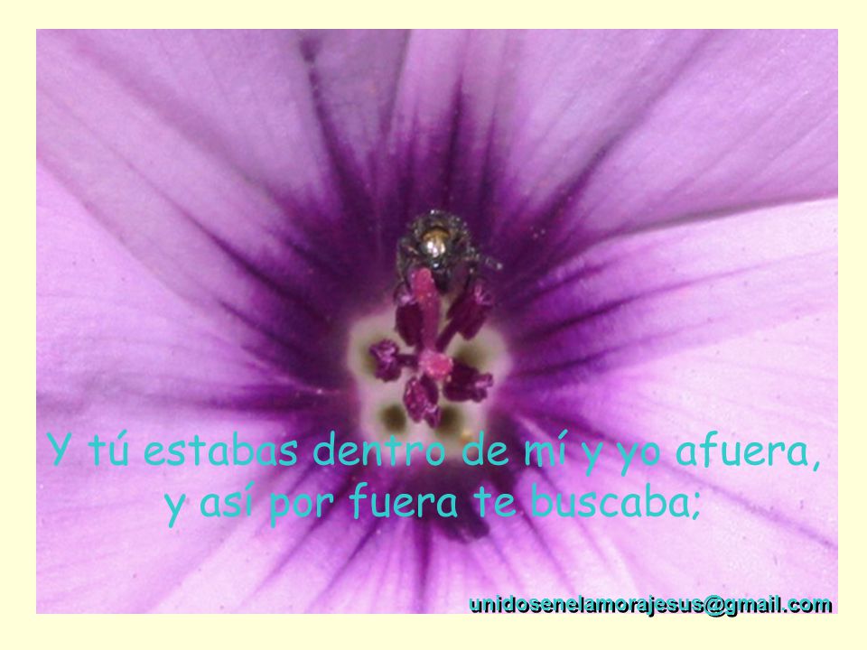 Y tú estabas dentro de mí y yo afuera, y así por fuera te buscaba;