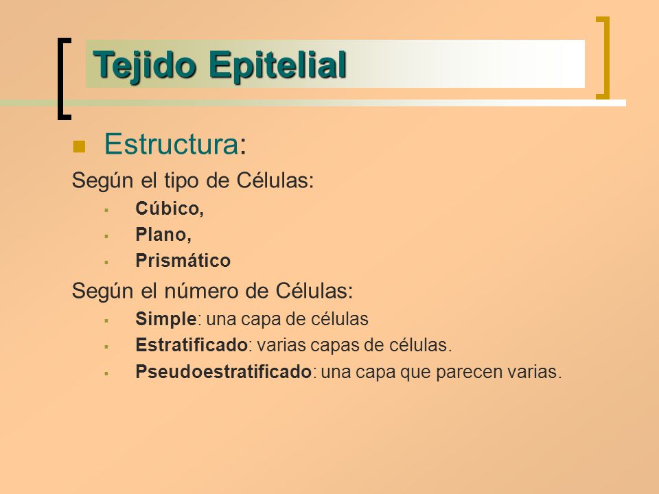 Tejido Epitelial Estructura: Según el tipo de Células: