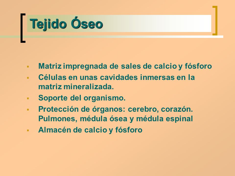 Tejido Óseo Matriz impregnada de sales de calcio y fósforo