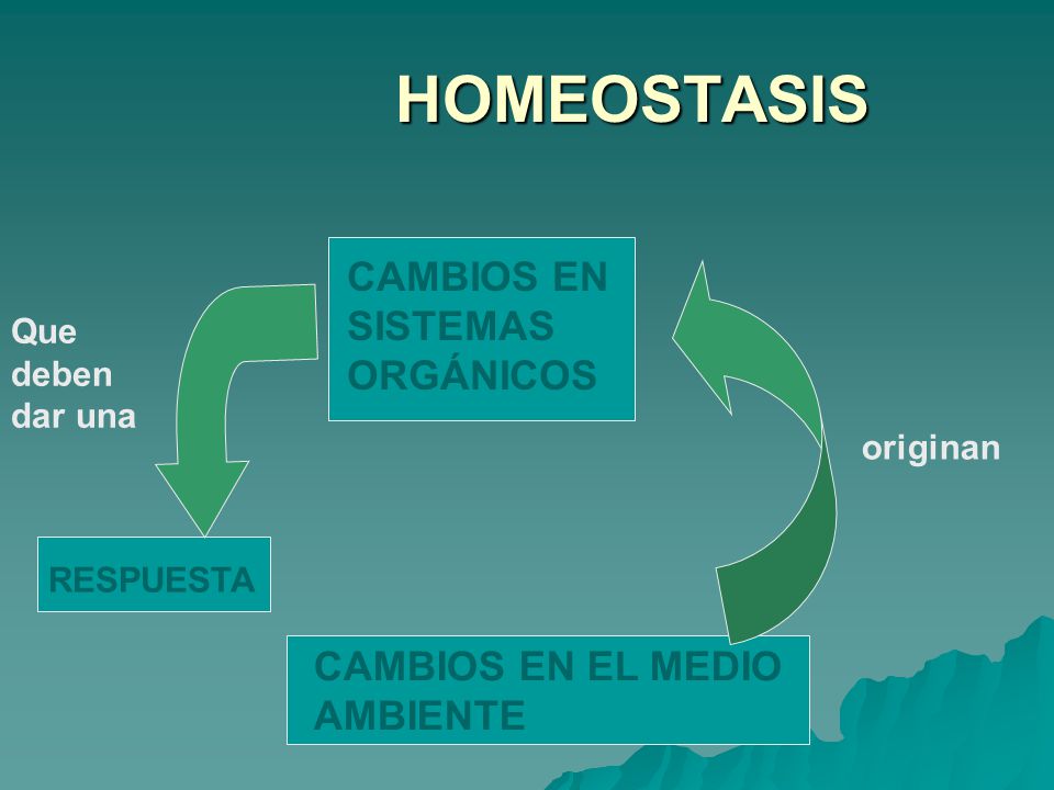HOMEOSTASIS CAMBIOS EN SISTEMAS ORGÁNICOS CAMBIOS EN EL MEDIO AMBIENTE