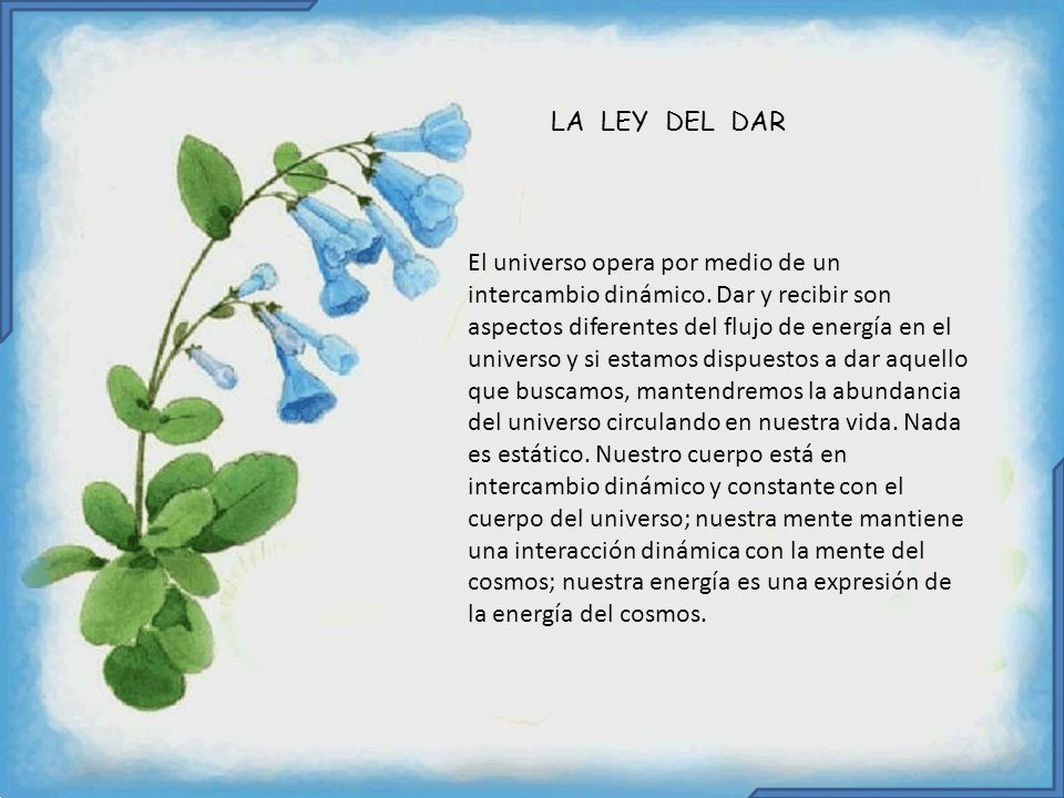 LA LEY DEL DAR El universo opera por medio de un intercambio dinámico. Dar y recibir son.