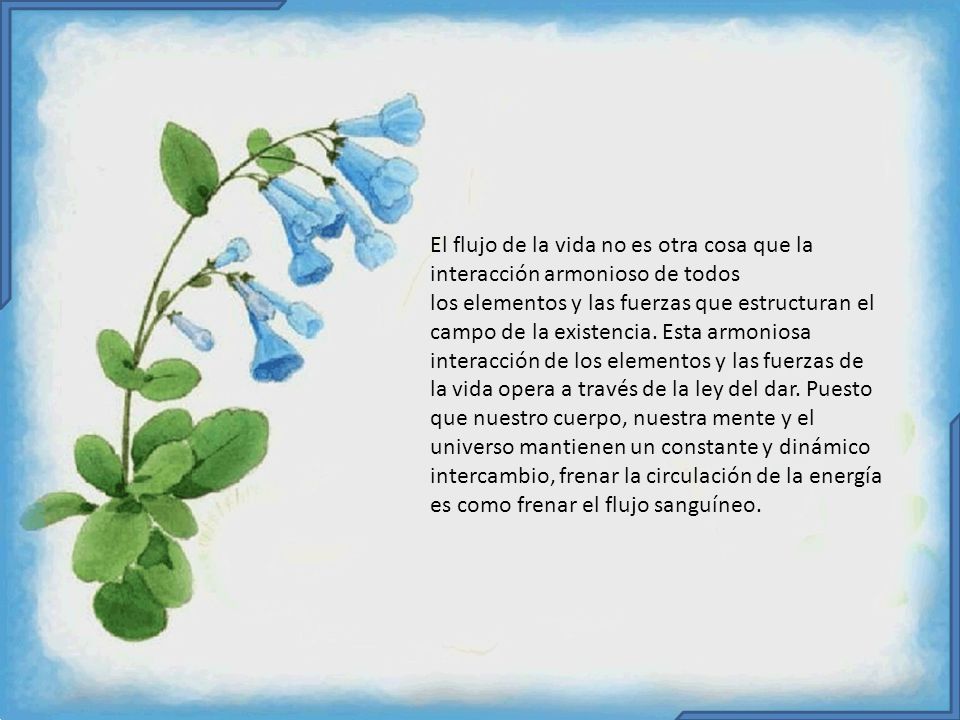 El flujo de la vida no es otra cosa que la interacción armonioso de todos