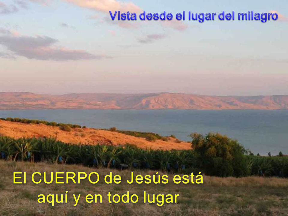 El CUERPO de Jesús está aquí y en todo lugar
