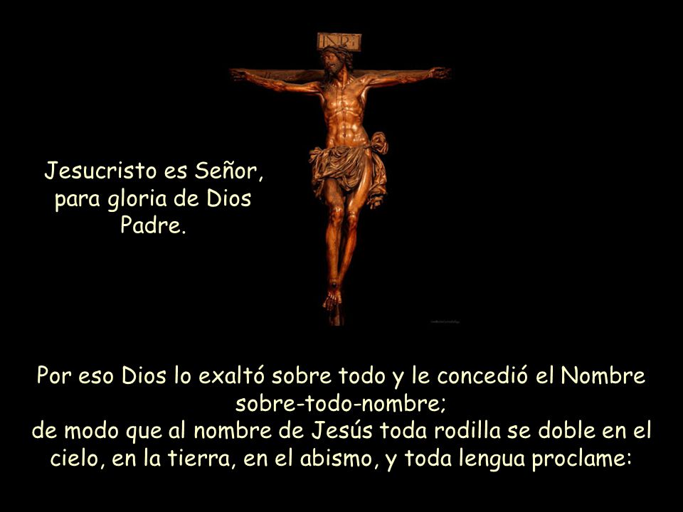 Jesucristo es Señor, para gloria de Dios Padre.