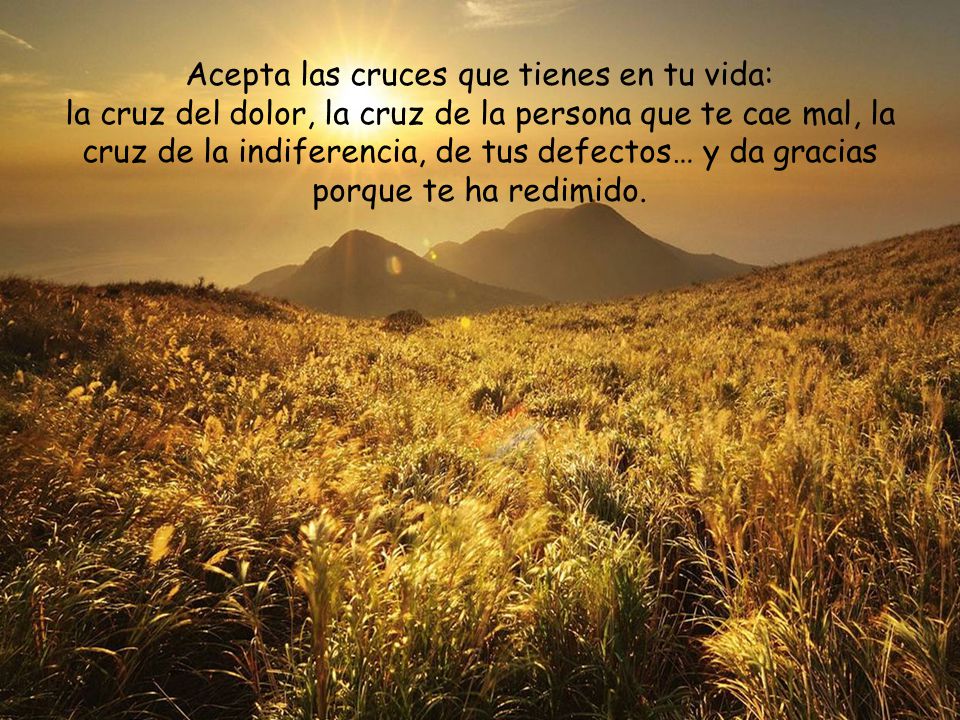 Acepta las cruces que tienes en tu vida: la cruz del dolor, la cruz de la persona que te cae mal, la cruz de la indiferencia, de tus defectos… y da gracias porque te ha redimido.