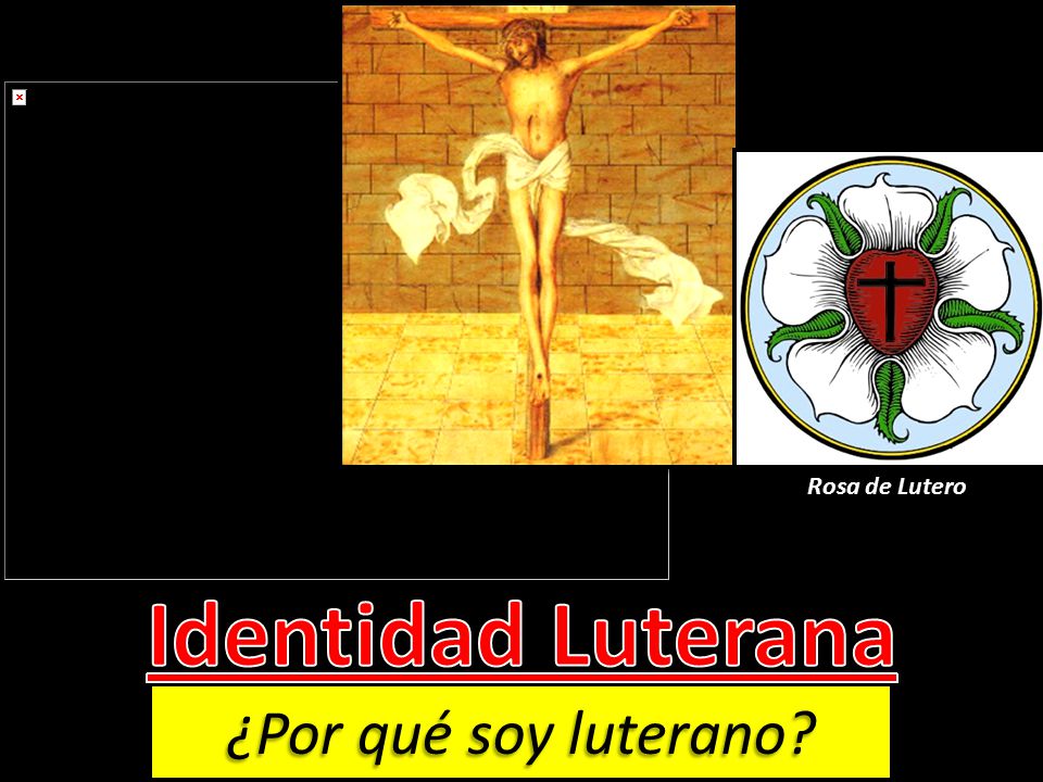 Rosa de Lutero Identidad Luterana ¿Por qué soy luterano