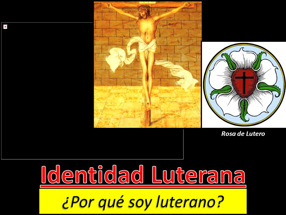 Rosa de Lutero Identidad Luterana ¿Por qué soy luterano
