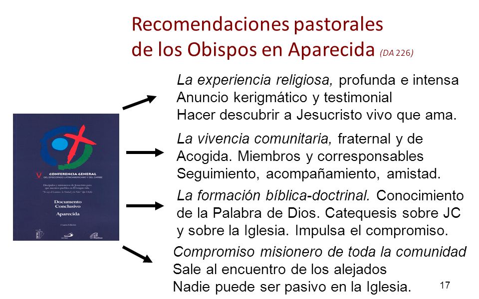 Recomendaciones pastorales de los Obispos en Aparecida (DA 226)