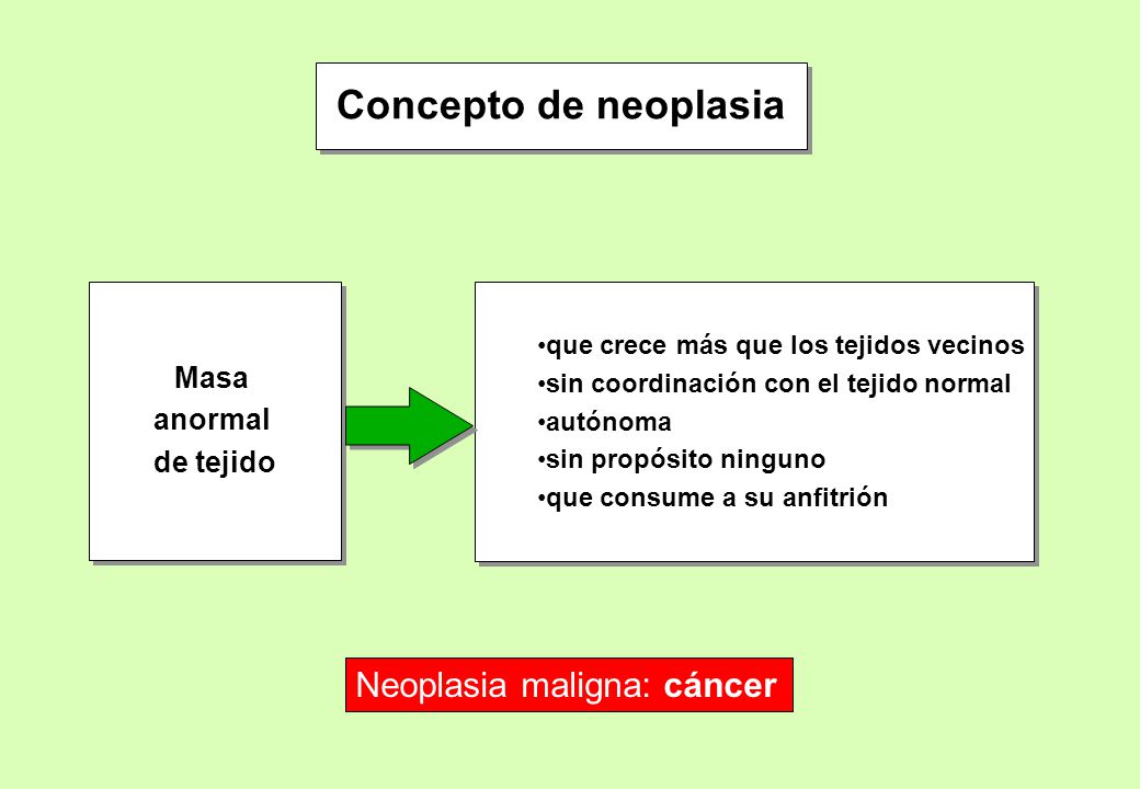 Concepto de neoplasia Neoplasia maligna: cáncer Masa anormal de tejido