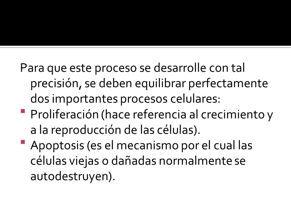 Para que este proceso se desarrolle con tal precisión, se deben equilibrar perfectamente dos importantes procesos celulares: