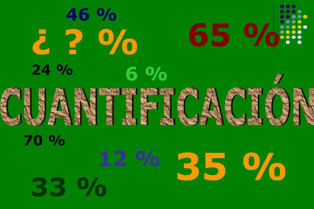 46 % 65 % ¿ % 24 % 6 % CUANTIFICACIÓN 70 % 35 % 12 % 33 %