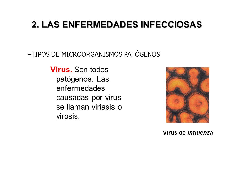 2. LAS ENFERMEDADES INFECCIOSAS