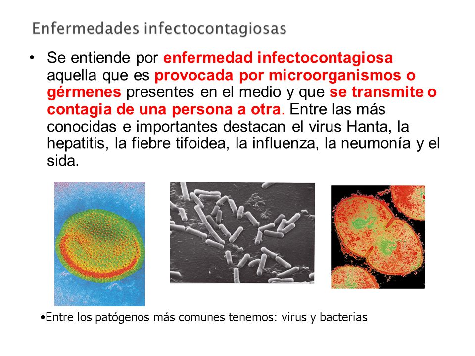 Se entiende por enfermedad infectocontagiosa aquella que es provocada por microorganismos o gérmenes presentes en el medio y que se transmite o contagia de una persona a otra. Entre las más conocidas e importantes destacan el virus Hanta, la hepatitis, la fiebre tifoidea, la influenza, la neumonía y el sida.