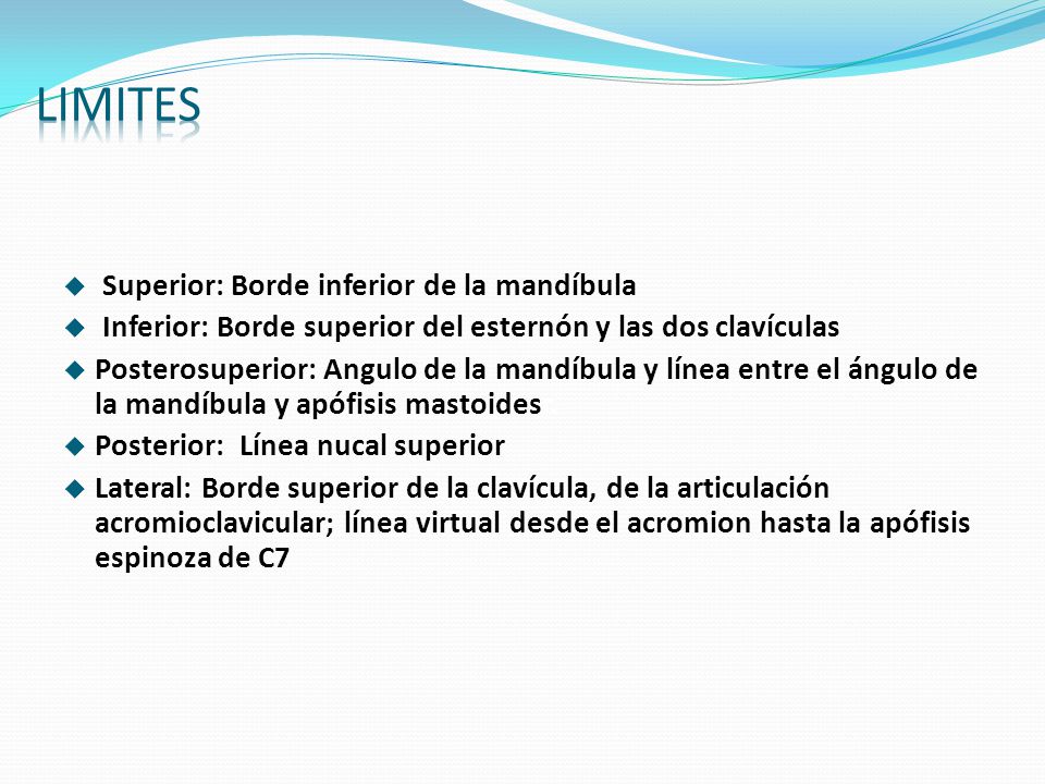 LIMITES Superior: Borde inferior de la mandíbula