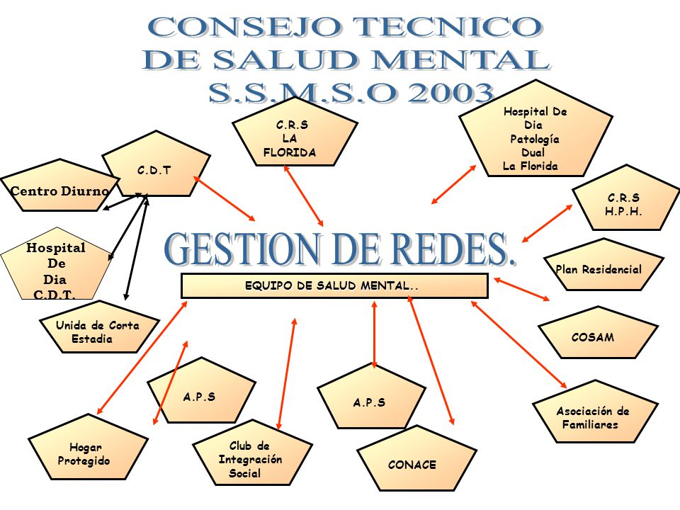 CONSEJO TECNICO DE SALUD MENTAL S.S.M.S.O 2003 GESTION DE REDES.