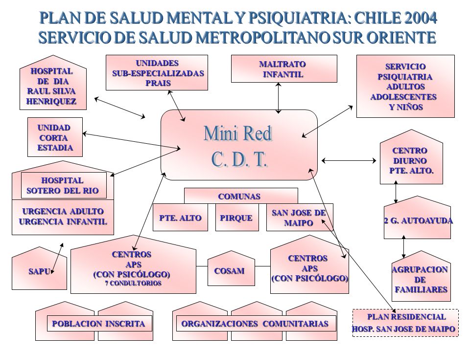 Mini Red C. D. T. PLAN DE SALUD MENTAL Y PSIQUIATRIA: CHILE 2004