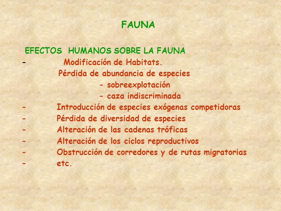 FAUNA EFECTOS HUMANOS SOBRE LA FAUNA - Modificación de Habitats.