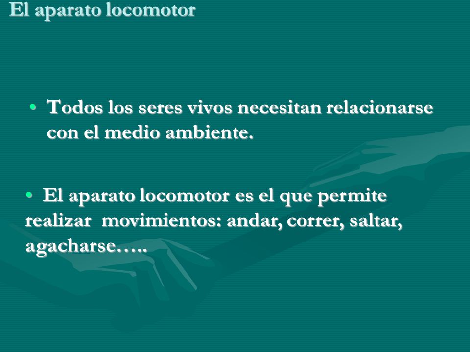 El aparato locomotor Todos los seres vivos necesitan relacionarse con el medio ambiente.